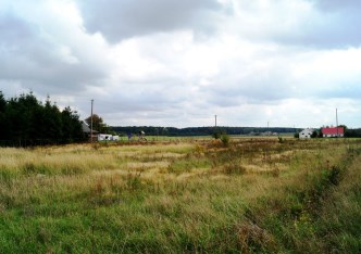 działka na sprzedaż - Strzelno, Ostrowo