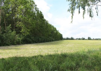 działka na sprzedaż - Złotniki Kujawskie, Leszcze