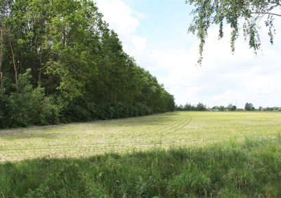 działka na sprzedaż - Złotniki Kujawskie, Leszcze