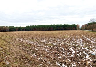 działka na sprzedaż - Dąbrowa Biskupia, Chlewiska