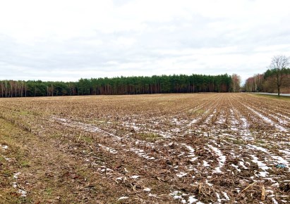 działka na sprzedaż - Dąbrowa Biskupia, Chlewiska
