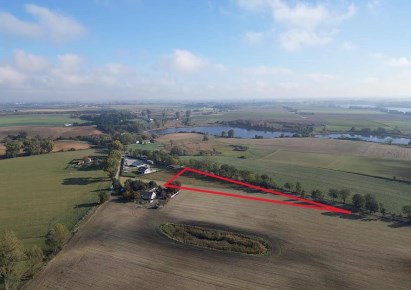 działka na sprzedaż - Złotniki Kujawskie, Dźwierzchno