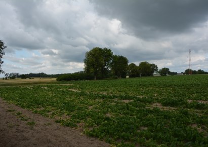 działka na sprzedaż - Inowrocław (gw), Łąkocin