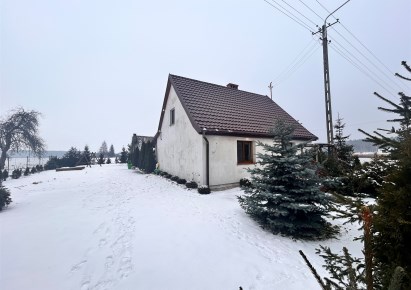 dom na sprzedaż - Dąbrowa Biskupia, Rejna