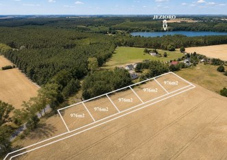 działka na sprzedaż - Gąsawa, Laski Wielkie/Laski Małe
